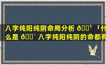 八字纯阳纯阴命局分析 🌹 「什么是 🌴 八字纯阳纯阴的命都有什么特点」